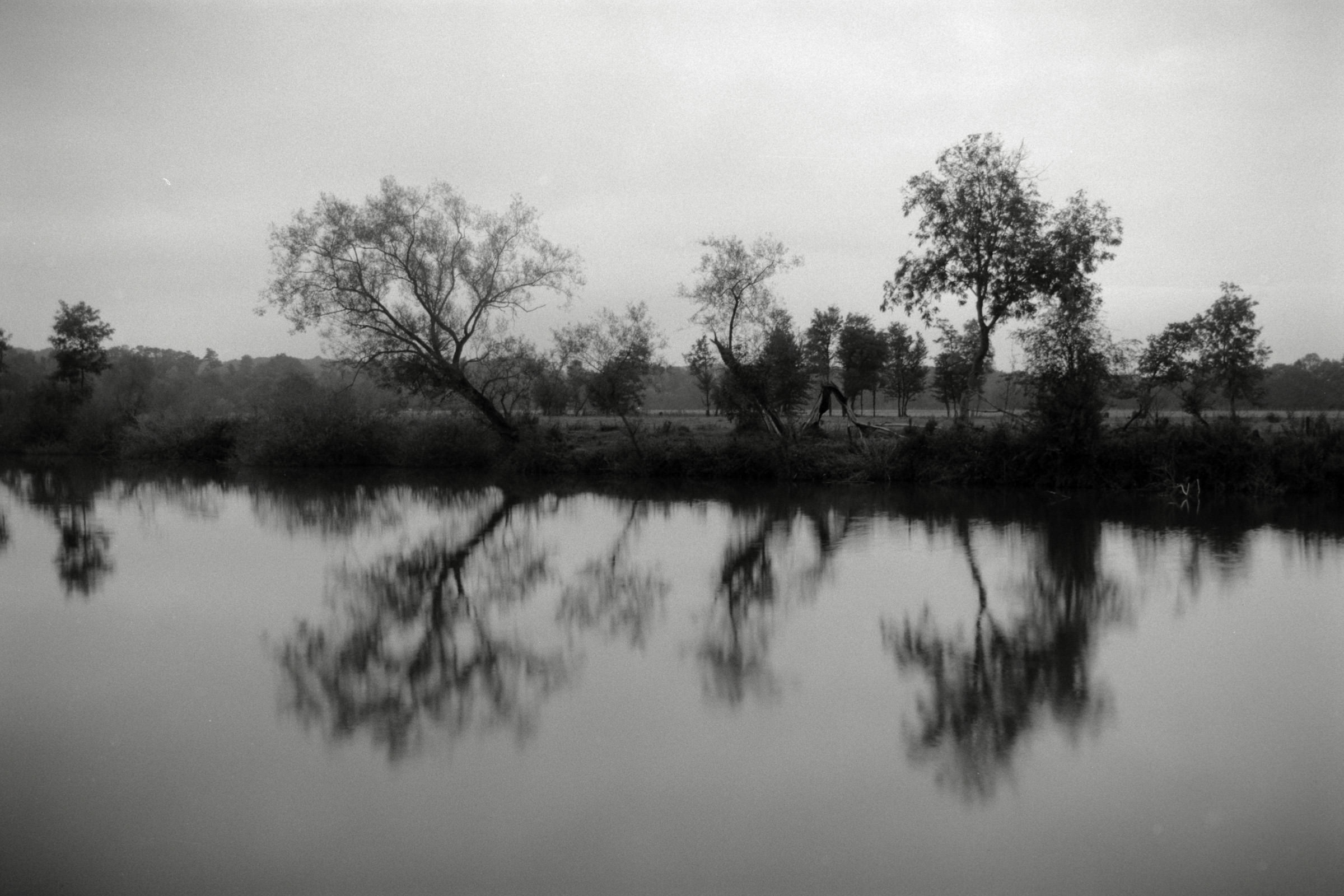 AHP F1990 09 005 sc250506 img32 NLP